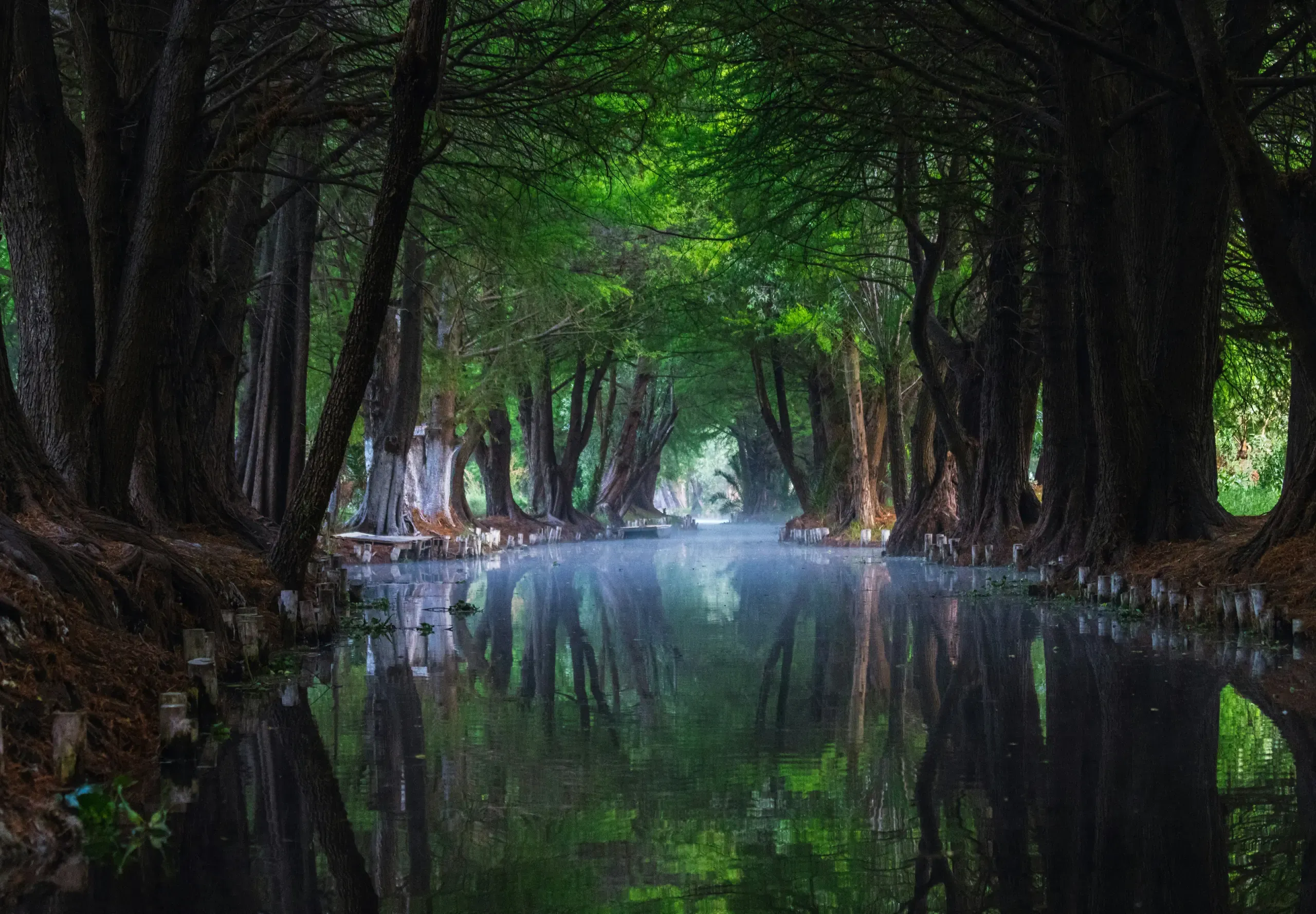 Sunrise Kayak Xochimilco