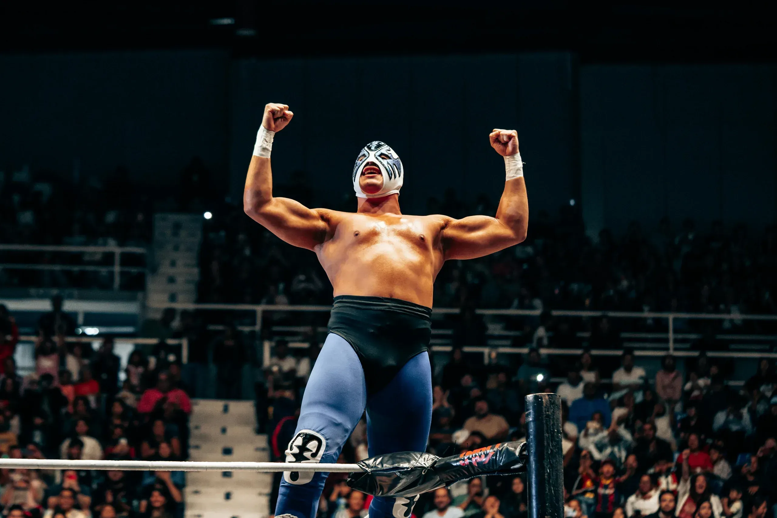 The Lucha Social
