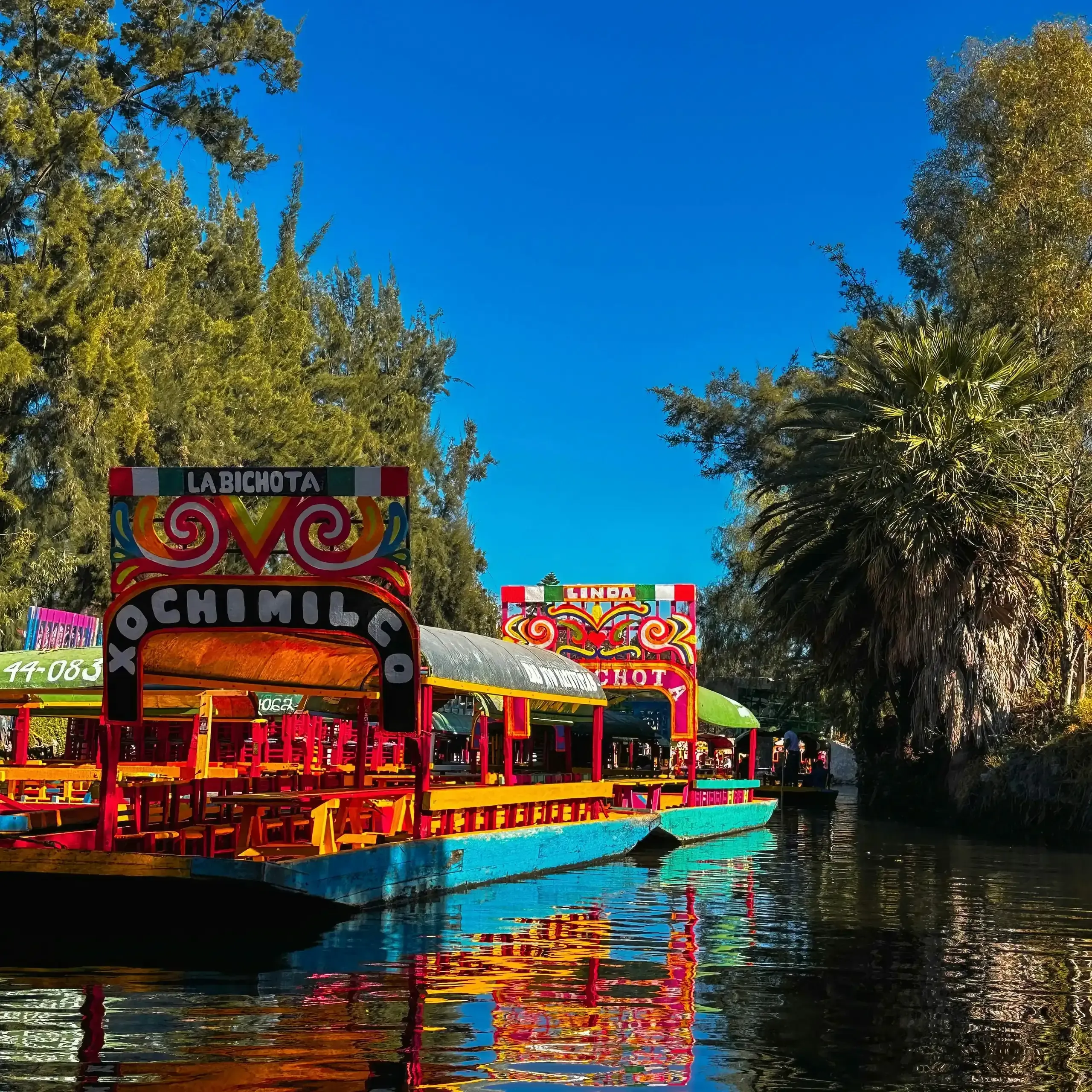 Xochimilco Trajinera Fiesta